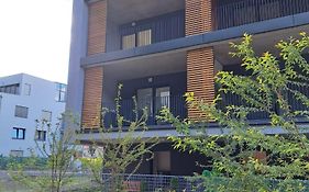 Apartman S Terasou, V Novostavbe